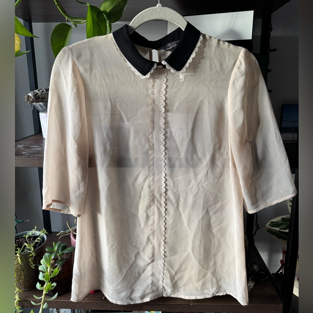 Ted Baker Sheer Blouse with Black Collar